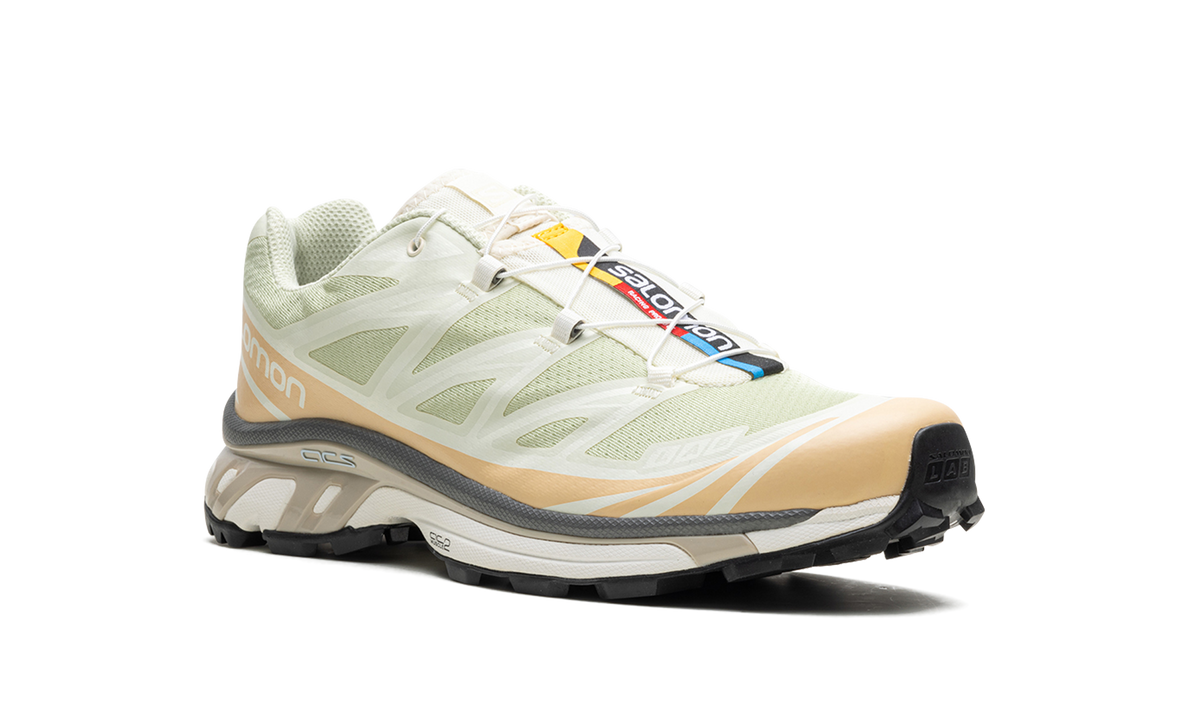 XT-6 "Aloe Wash" L47293700