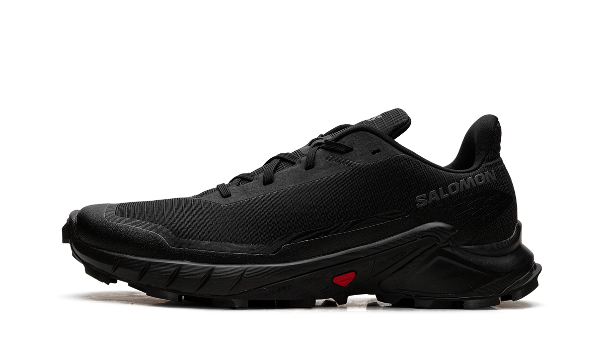 Alphacross 5 GORE-TEX "Black Ebony" L47307500