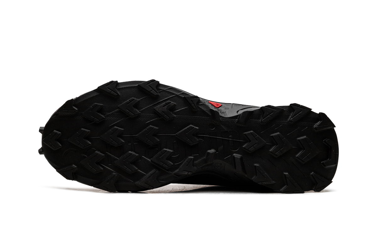 Alphacross 5 GORE-TEX "Black Ebony" L47307500